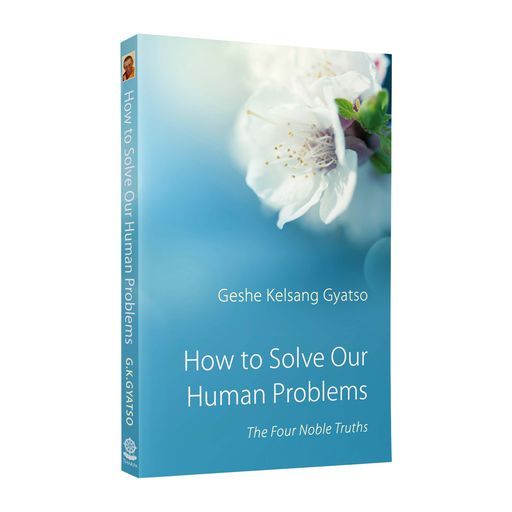 How to Solve Our Human Problems (pb)