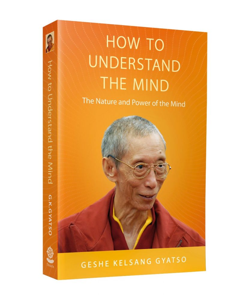 How to Understand the Mind (pb)